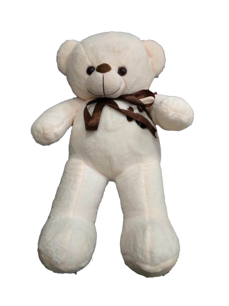 Plush Teddy Bear