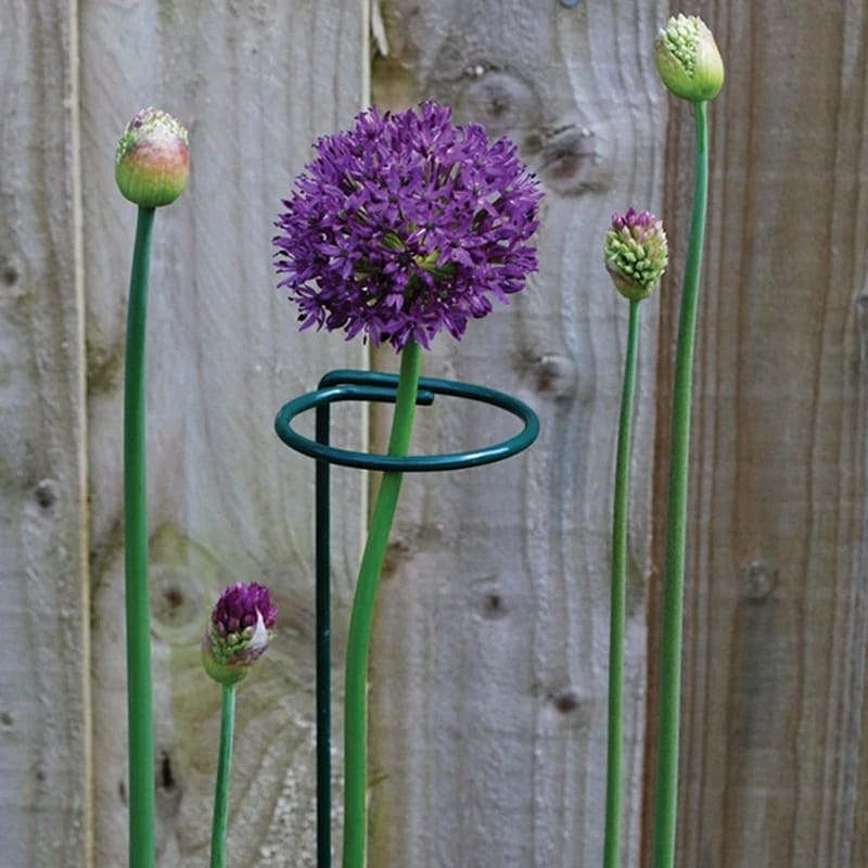 20 Inches Long Plant Support Stakes, Garden Single Stem Flower Plant Support