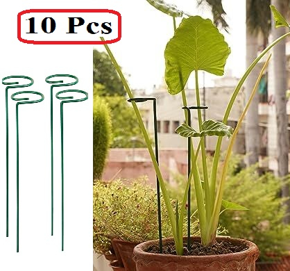 20 Inches Long Plant Support Stakes, Garden Single Stem Flower Plant Support