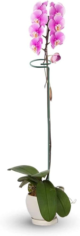 20 Inches Long Plant Support Stakes, Garden Single Stem Flower Plant Support