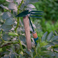 Kitchen Gardening Tools & Accessories with Wooden Handles