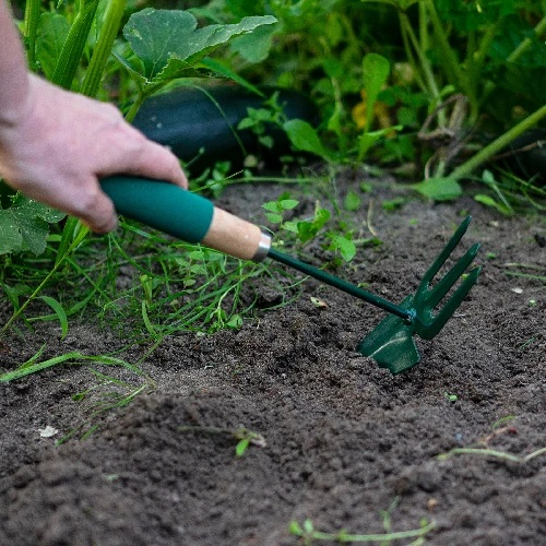 Kitchen Gardening Tools & Accessories with Wooden Handles