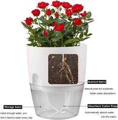 Indoor Plastic Self Watering Flower Pot With Cotton Rope & Container For Water