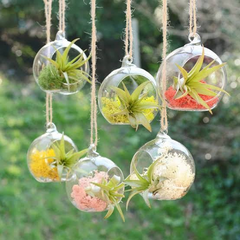 1 Piece Transparent Ball Globe Shape Clear Hanging Glass Vase Flower Plants