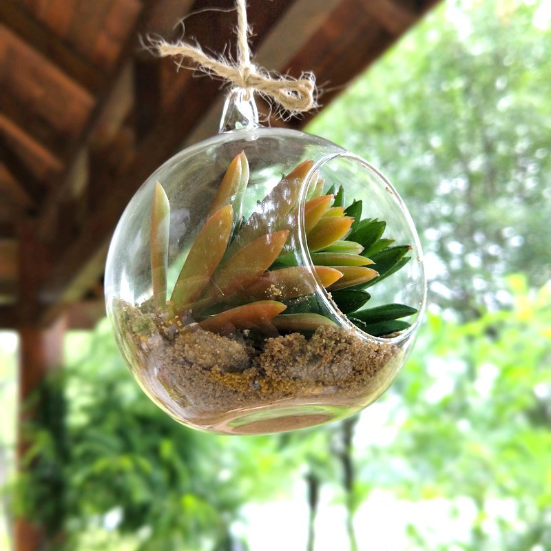 1 Piece Transparent Ball Globe Shape Clear Hanging Glass Vase Flower Plants