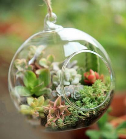 1 Piece Transparent Ball Globe Shape Clear Hanging Glass Vase Flower Plants