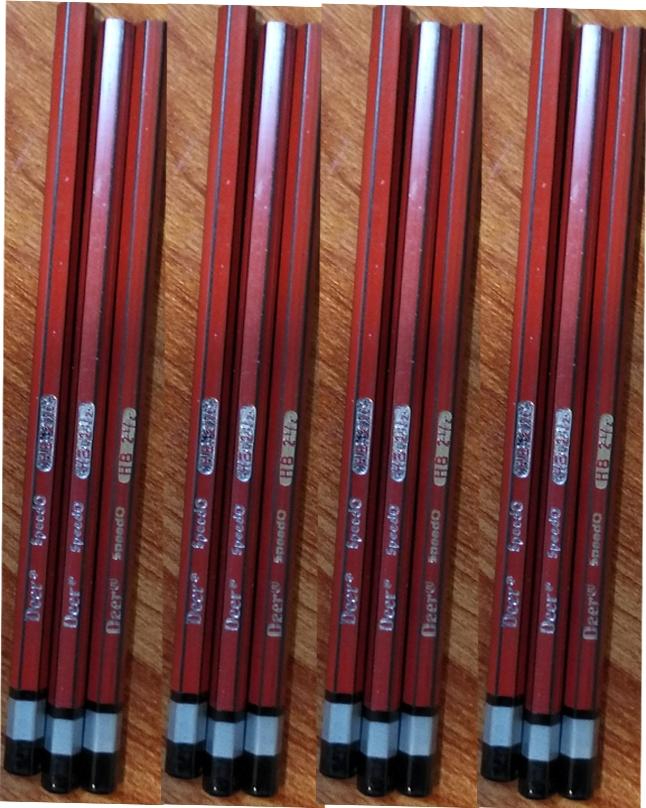 Speedo Pencil 12 Pcs Bundle (Art # 7500 Hb)