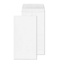 Envelope / Office Envelop / Document Envelope / White Envelop / Mail Envelop (10