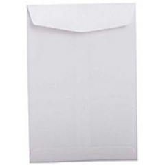 Envelope / Office Envelop / Document Envelope / White Envelop / Mail Envelop (10