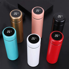 Smart LED Temperature Water Bottle